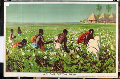 Un campo de algodón sudanés, de la serie "Empire Trade is Growing" (litografía en color) de Edward Barnard Lintott