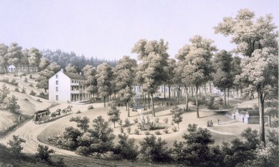 Stribling Springs, Spa Village, Augusta Country, 1858 de Edward Beyer