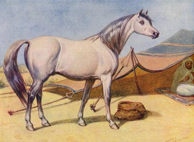 Caballo árabe (litografía en color) de Edward Brice Montefiore