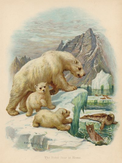 El oso polar en casa (litografía en color) de Edward Brice Montefiore