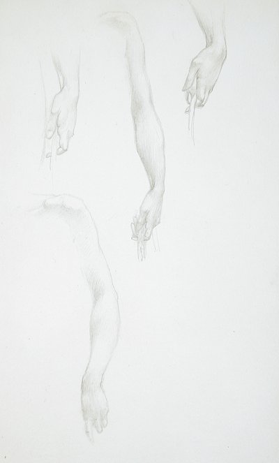 Estudios de brazos y manos (anverso); Estudio de un torso femenino (reverso) de Edward Burne-Jones