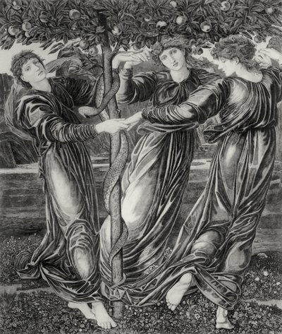 El Jardín de las Hespérides de Edward Coley (after) Burne Jones