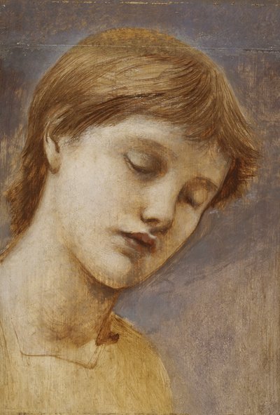 Estudio de una cabeza (óleo sobre tabla) de Edward Coley Burne Jones
