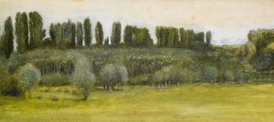 Paisaje con sauces y álamos, estudio de Edward Burne Jones