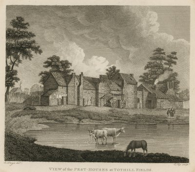 Vista de las casas de peste en Tothill Fields, Londres de Edward Dayes