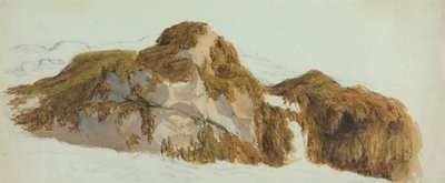 Estudio de rocas cubiertas de algas de Edward Duncan