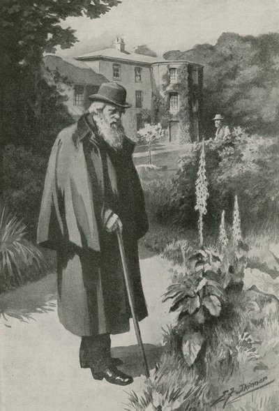 Charles Darwin en su jardín de Down House (litografía) de Edward Frederick Skinner