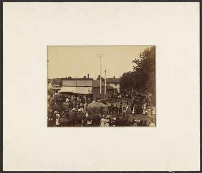 [Elefantes caminan por la ciudad, Maple City] de Edward H. Hart