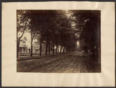 [Calle arbolada] de Edward H. Hart