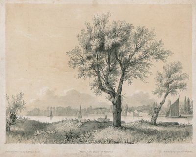 Sauces en el Támesis en Battersea de Edward Hassell