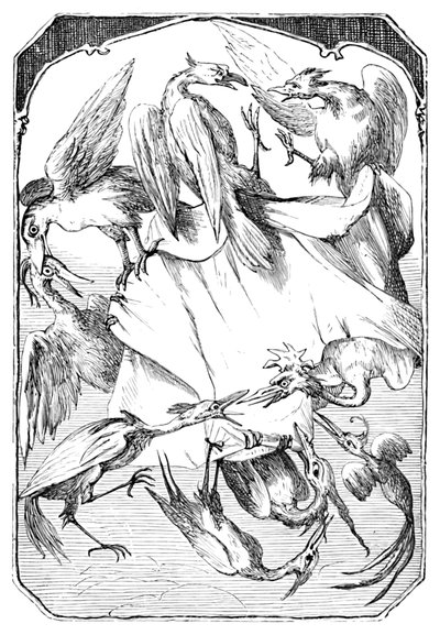 Las coles del burro, 1901 de Edward Henry Wehnert