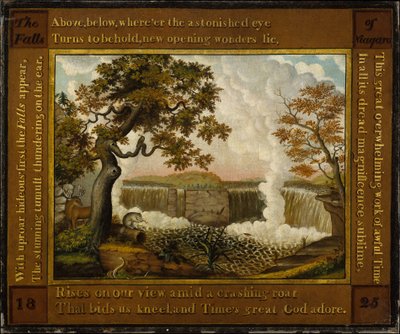 Die Niagarafälle de Edward Hicks