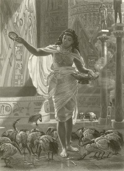 Alimentando al ibis sagrado en los salones de Karnac de Edward John Poynter