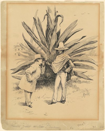 Cactus de México de Edward Kemble