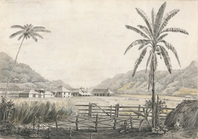 Vista de la plantación de azúcar Hall-head, Jamaica de Edward Kennion