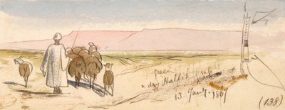 Hierba seca de Halfeh de Edward Lear
