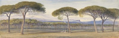 Vista de los bosques de pinos sobre Cannes de Edward Lear