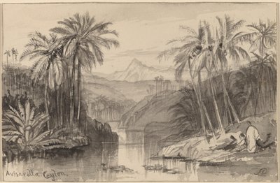 Avisavella, Ceilán de Edward Lear