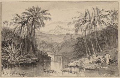  de Edward Lear