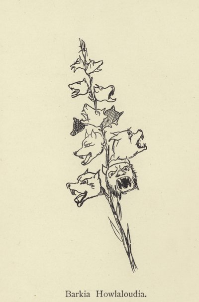 Barkia Howlaloudia de Edward Lear