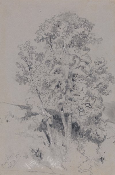 Burpham, 4 de octubre de 1834 de Edward Lear