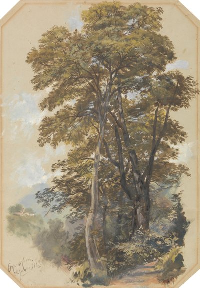 Corpo di Cava, 28 de junio de 1838 de Edward Lear