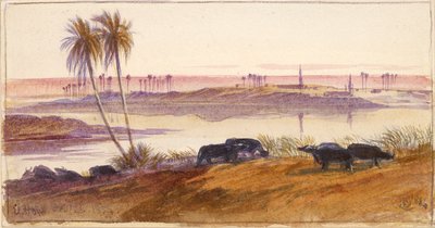 El Hon, Egipto, 1884 de Edward Lear