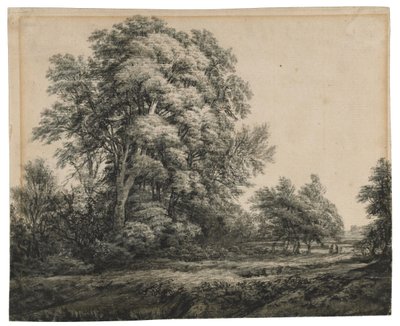 Paisaje forestal de Edward Lear