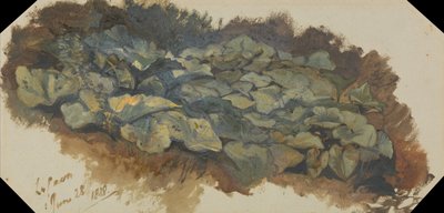 La cantera de Edward Lear