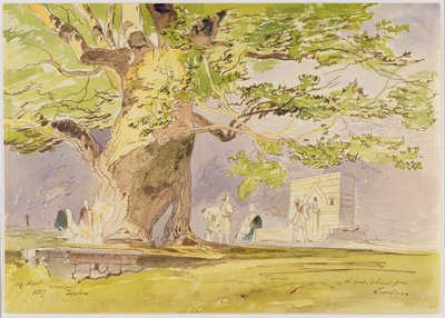En el camino, dos horas desde Tepelene de Edward Lear