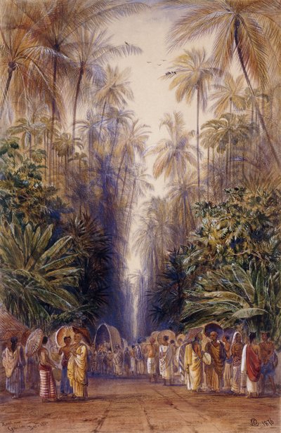 En el camino a Galle, Ceilán de Edward Lear