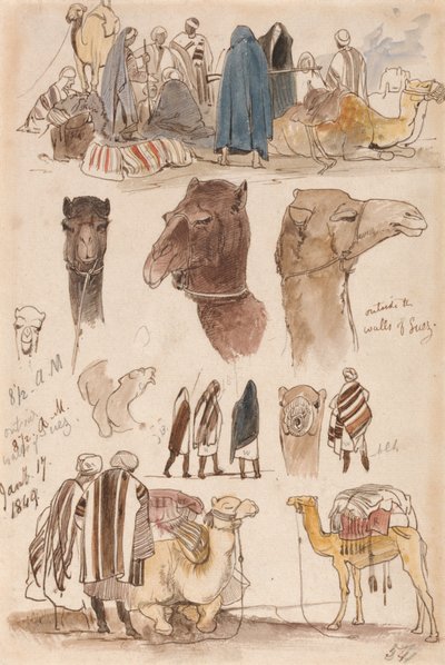 Fuera de las murallas de Suez, a las 8:30 de la mañana del 17 de enero de 1849 (54) de Edward Lear