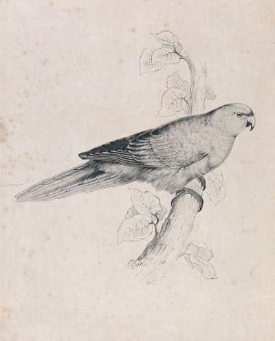  de Edward Lear