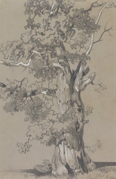 Parham, 13 de octubre de 1834 de Edward Lear