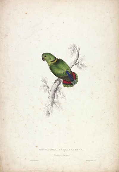  de Edward Lear