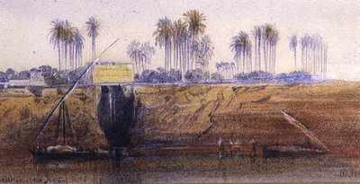 Sakkia, cerca de Ibreem, 6 de febrero de 1865 de Edward Lear