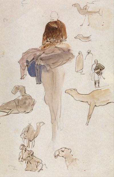 Estudios sobre camellos de Edward Lear