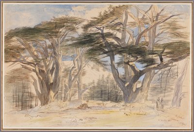 Los cedros del Líbano de Edward Lear