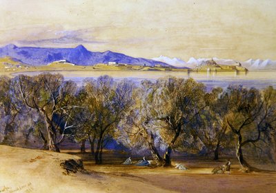 La Ciudadela de Edward Lear
