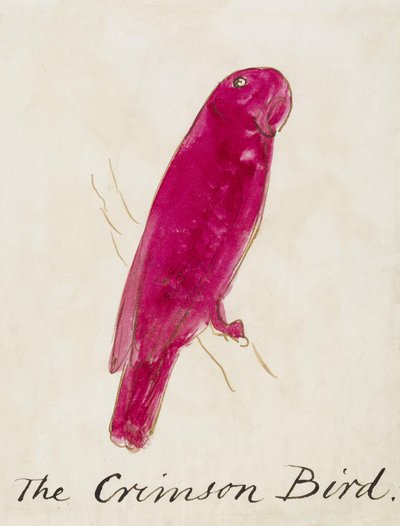 El pájaro carmesí, de Dieciséis dibujos de pájaros cómicos de Edward Lear