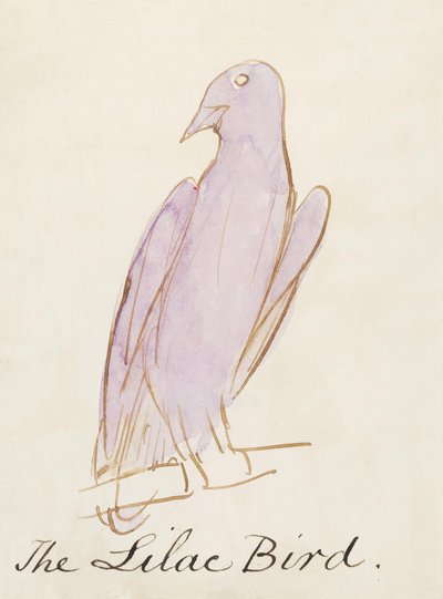 El pájaro lila, de Dieciséis dibujos de pájaros cómicos de Edward Lear