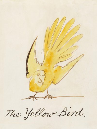 El pájaro amarillo, de "Dieciséis dibujos de pájaros cómicos" de Edward Lear