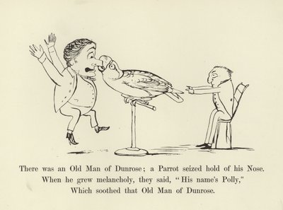 Había un viejo de Dunrose; un loro le agarró la nariz de Edward Lear