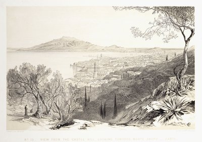 Vista desde la colina del castillo, mirando hacia Monte Skopo, Zante, 1863 de Edward Lear