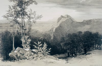 Vistas de Roma y sus Alrededores: Civitella di Subiaco de Edward Lear