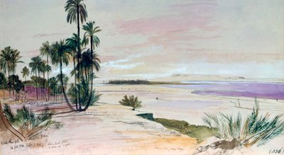 Wadi Halfeh, 3 de febrero de 1867 de Edward Lear