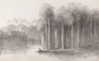 Wady Feiran, Península del Monte Sinaí de Edward Lear