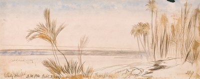Desventajas de Halfeh de Edward Lear