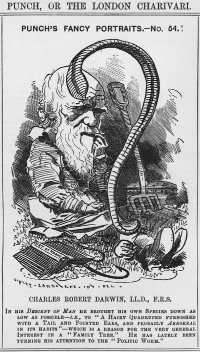Charles Darwin, retratos de fantasía de Punch, No 54, ilustración de 
