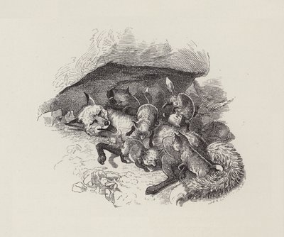 Ilustración para Los Niños del Agua de Charles Kingsley (grabado) de Edward Linley (after) Sambourne